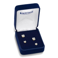 Montana Silversmith Accessories - Big Sky Sparkle Earring Set