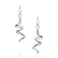 Montana Silversmith Accessories - Buckaroo Bling Earrings