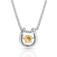 Montana Silversmith Accessories - Dancing Birthstone Horseshoe Necklace - November