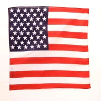 Bandanas - American Flag