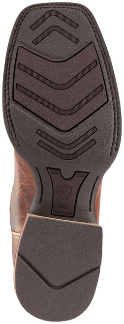 ariat nighthawk boots