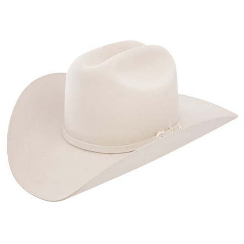 stetson lariat silverbelly