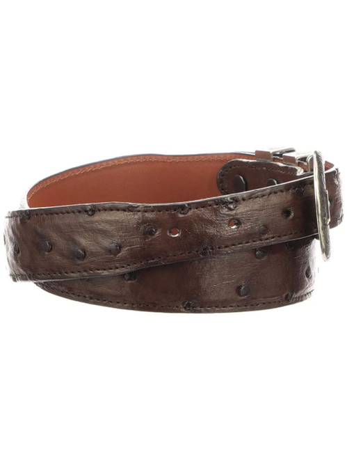 Lucchese Men's Belts - Full Quill Ostrich - Tapered / Sienna