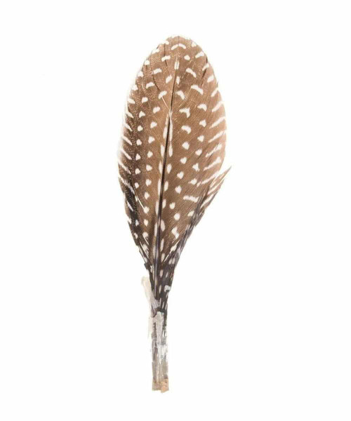 Billy's Western Wear Hat Accessories - Guinea Feather / F-G