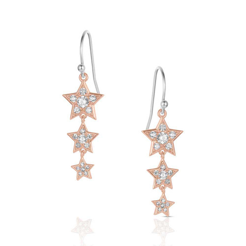 Montana Silversmith Accessories - Trio of Wishes Earrings