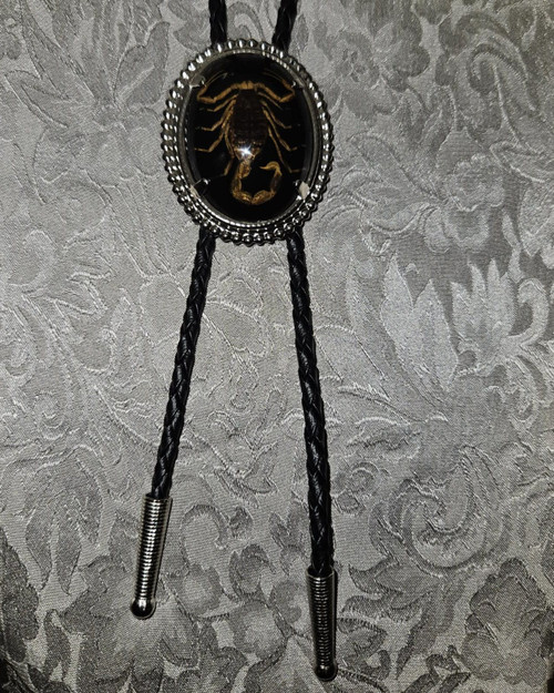 Billy's Western Wear Accessories - Bolo Tie - Silver Oval with Scorpion - Black