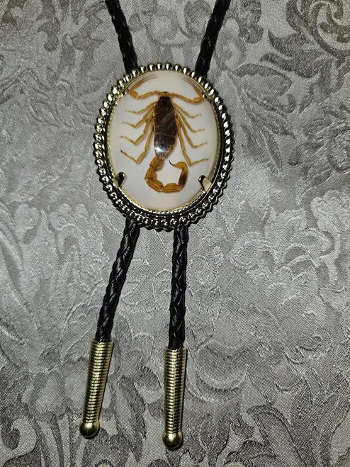 Billy's Western Wear Accessories - Bolo Tie - Gold Oval with Scorpion - White