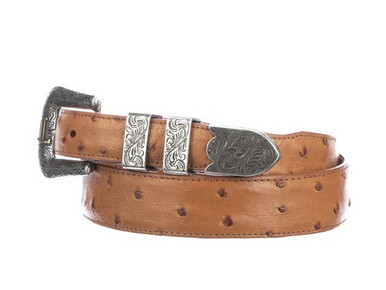 Lucchese | Python Belt :: Cognac L