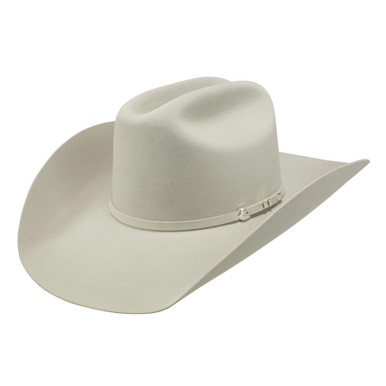 Resistol Felt Hats - Arena - Silver 