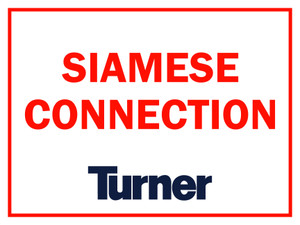 T074 Siamese Connection 18"x24"