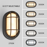 LED Outdoor Bulkhead Light, 1000 Lumens, 6 CCT 2700K-6500K, Black Flush Mount Fixture for Wall or Ceiling - 9 in. Height