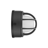 LED Outdoor Bulkhead Light, 1000 Lumens, 6 CCT 2700K-6500K, Black Flush Mount Fixture for Wall or Ceiling - 9 in. Height