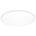 barialliance_feed_image_role_125,hidden