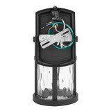 LED Outdoor Wall Light, Black Finish, Clear Hammered Glass, Dusk to Dawn Sensor, 750 Lumens, 3000K Warm White - 13 in. Height