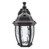 LED Outdoor Wall Light, Black w/ Clear Water Glass, Dusk to Dawn Sensor, 580 Lumens, 3000K Warm White - 11 in. Height