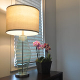 A19 LED Light Bulb, 60 Watt Equal, 800 Lumens, 2700K Warm White (12 Pack)