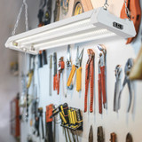 in_use_1_image_role