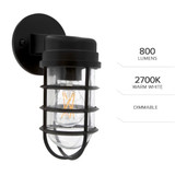 LED Cage Light Wall Lantern, Outdoor Porch Light w/ A19 Edison Bulb, 800 Lumens, 2700K Warm White, Dimmable - 10 in. Height