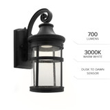 LED Outdoor Porch Light w/ Seeded Glass, Dusk to Dawn Sensor, 700 Lumens, 3000K Warm White  - 14 in. Height