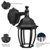LED Outdoor Wall Light, Black w/ Clear Glass, Dusk to Dawn Sensor, 830 Lumens, 3 CCT 3000K-5000K - 11.5 in. Height