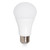 A19 LED Light Bulb, 60 Watt Equal, 800 Lumens, 5000K Daylight (12 Pack)