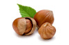 Wanliss Pride hazelnut