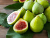 Green Ischia Fig