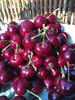 Lapins Cherry