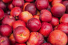Crimson Baby Nectarine