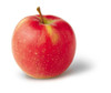 Jonagold Apple (dwarf)