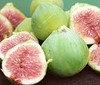 White Genoa Fig