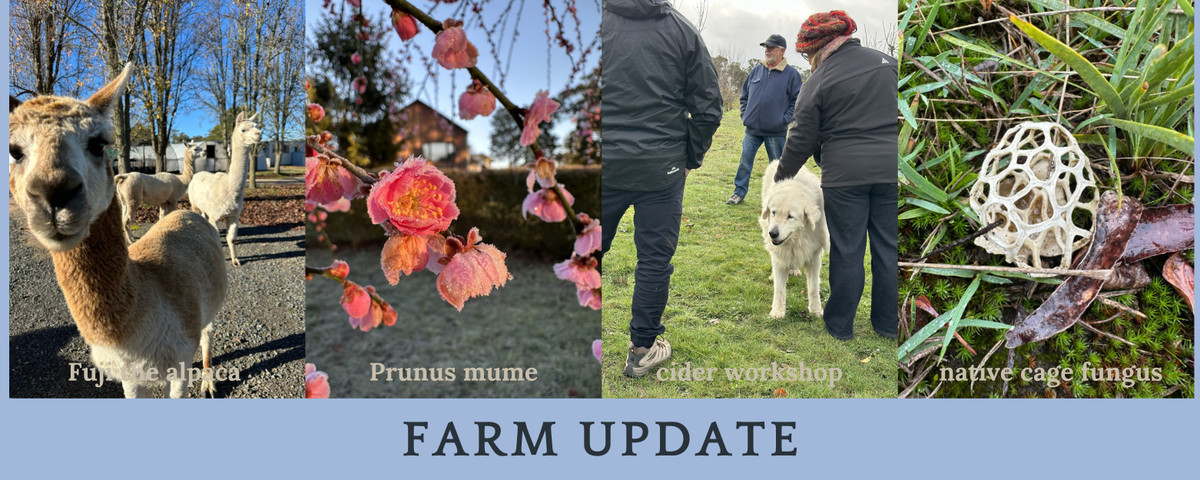 Farm update 7 July 2026