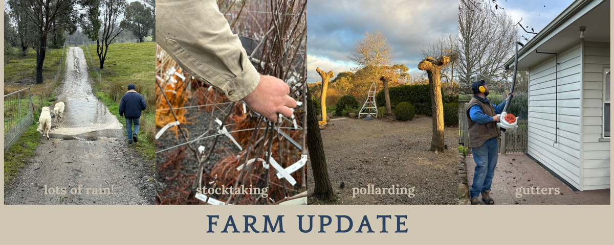 Farm update 13 August 2026