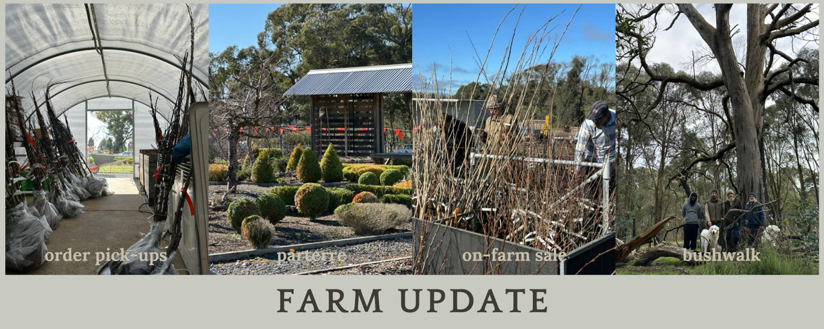 Farm update 6 September 2026