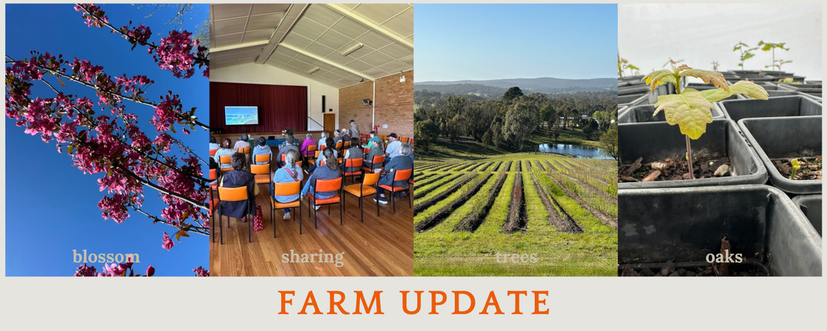 Farm update 11 October 2026