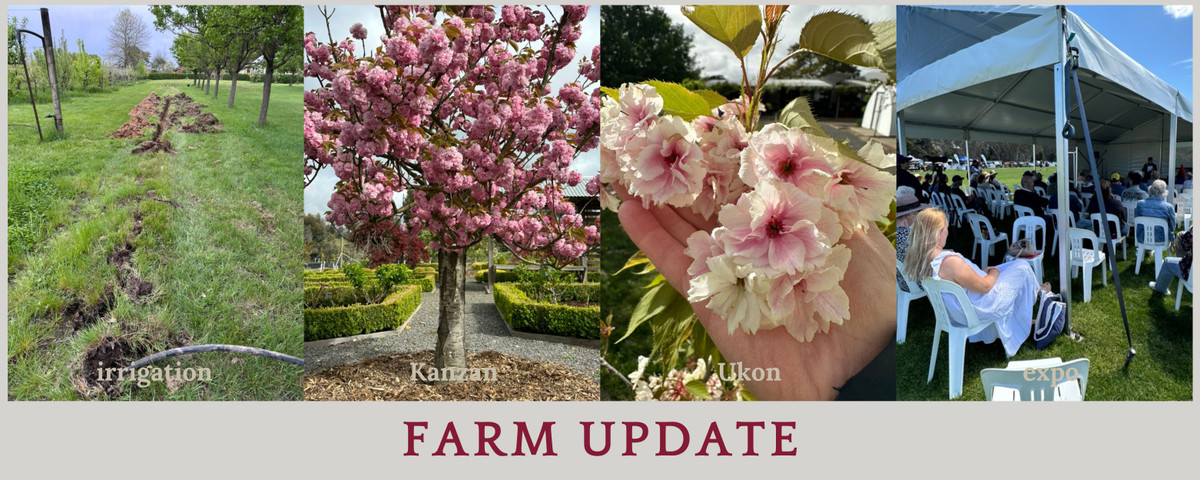 Farm update 18 October 2026