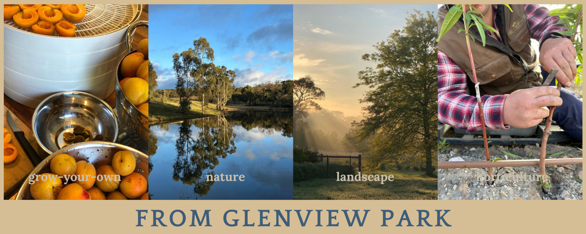 Winter update From Glenview Park 15 July 2026