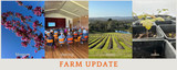 Farm update 11 October 2026
