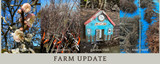 Farm update 24 June 2026