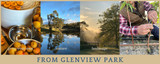 Winter update From Glenview Park 15 July 2026