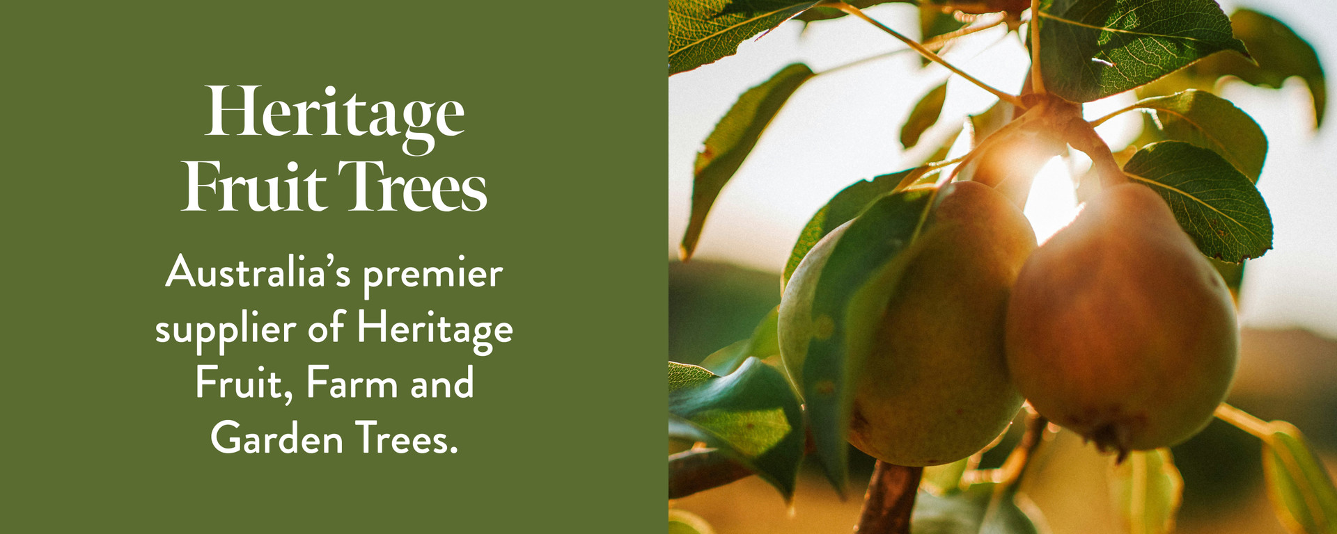 Heritage Fruit Trees