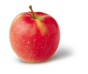 Jonagold Apple (stepover) Heritage Fruit Trees