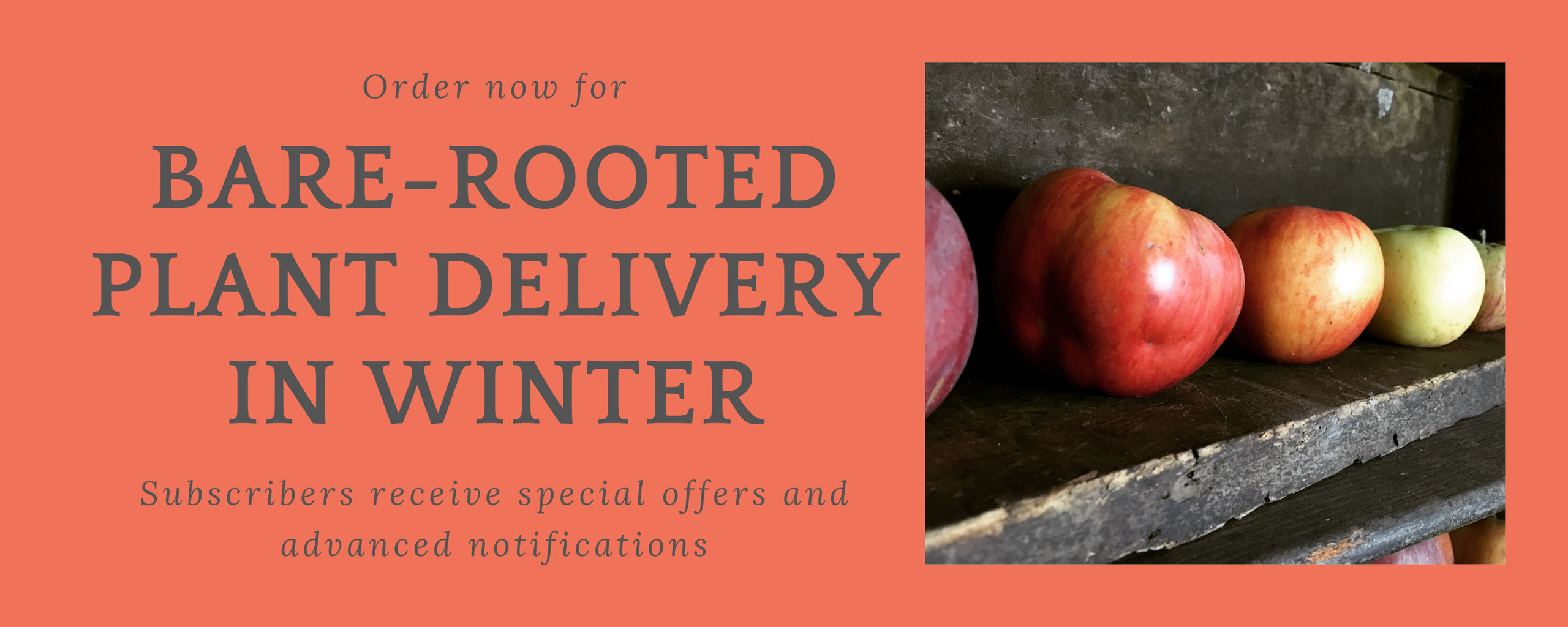 Heritage Fruit Trees