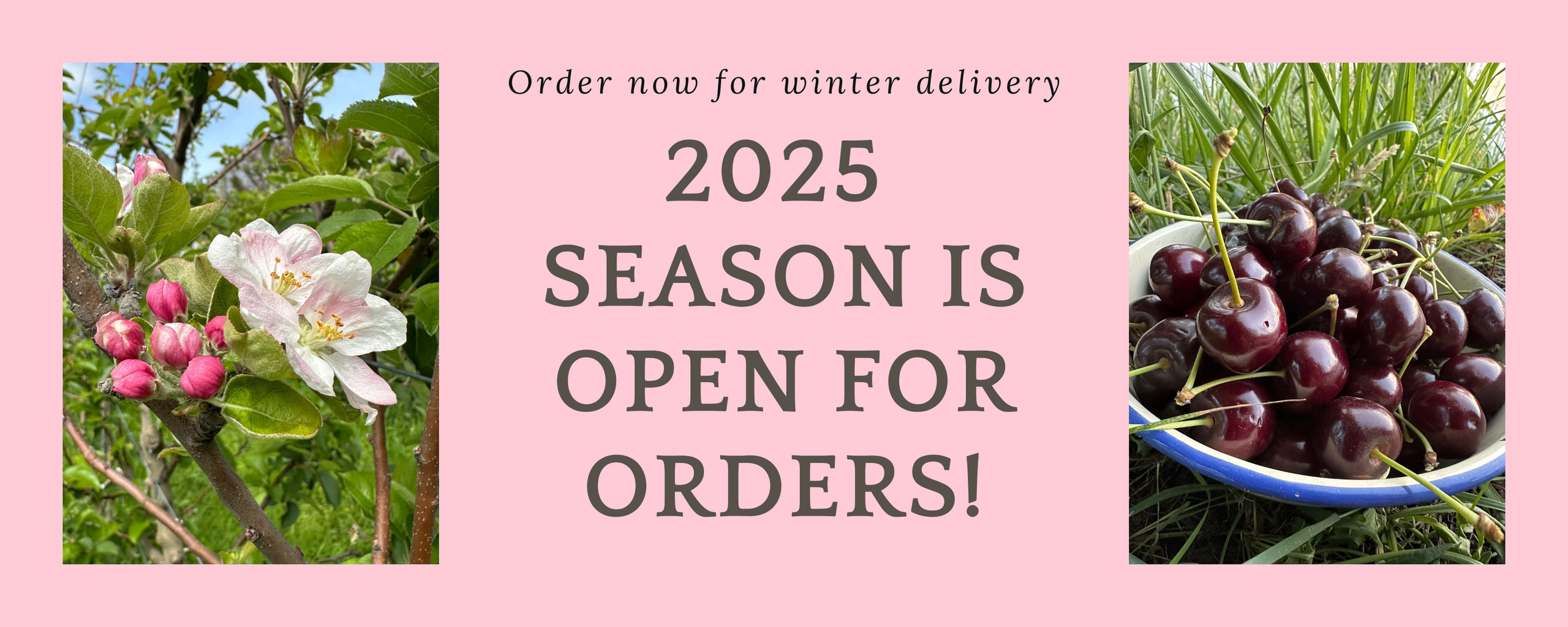 Heritage Fruit Trees