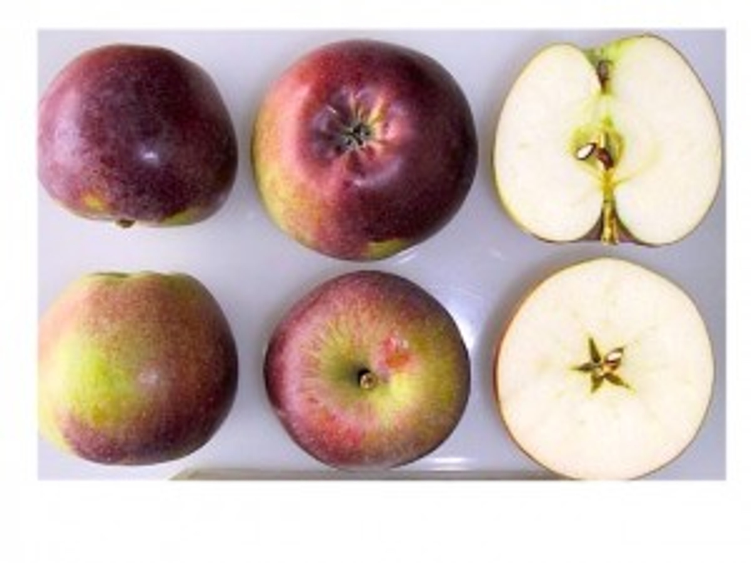 Heritage Fruit Trees