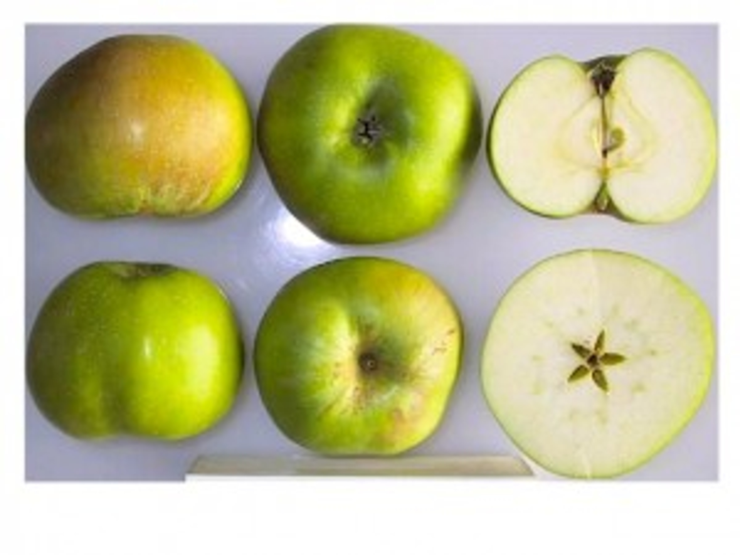 Heritage Fruit Trees