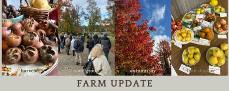 Farm update 3 June 2026