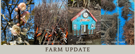 Farm update 24 June 2026