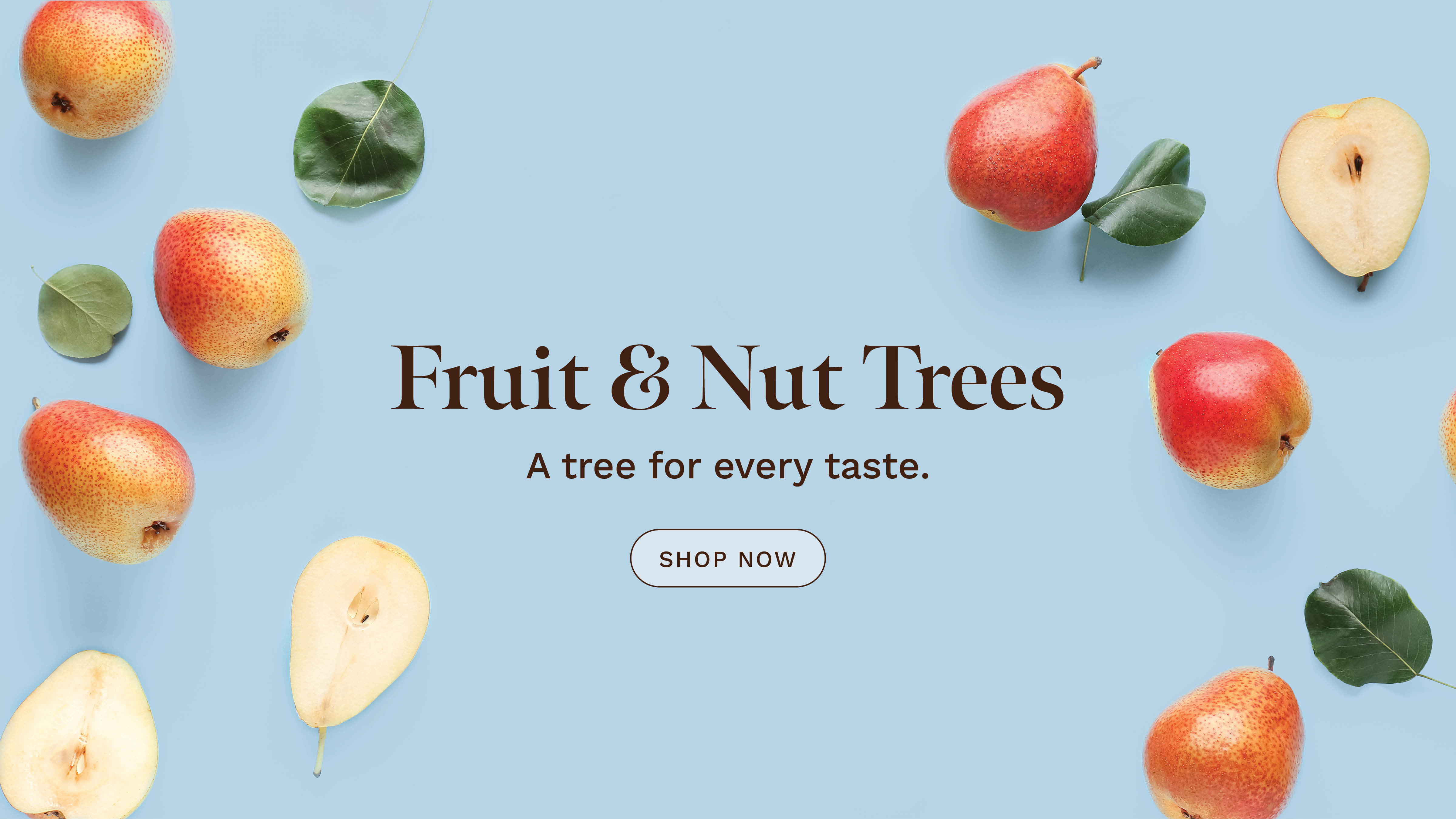 Heritage Fruit Trees