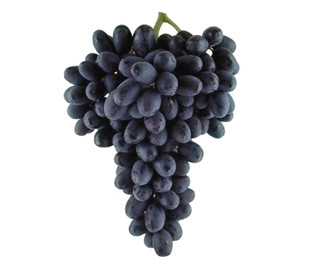 Grand Turk Grape